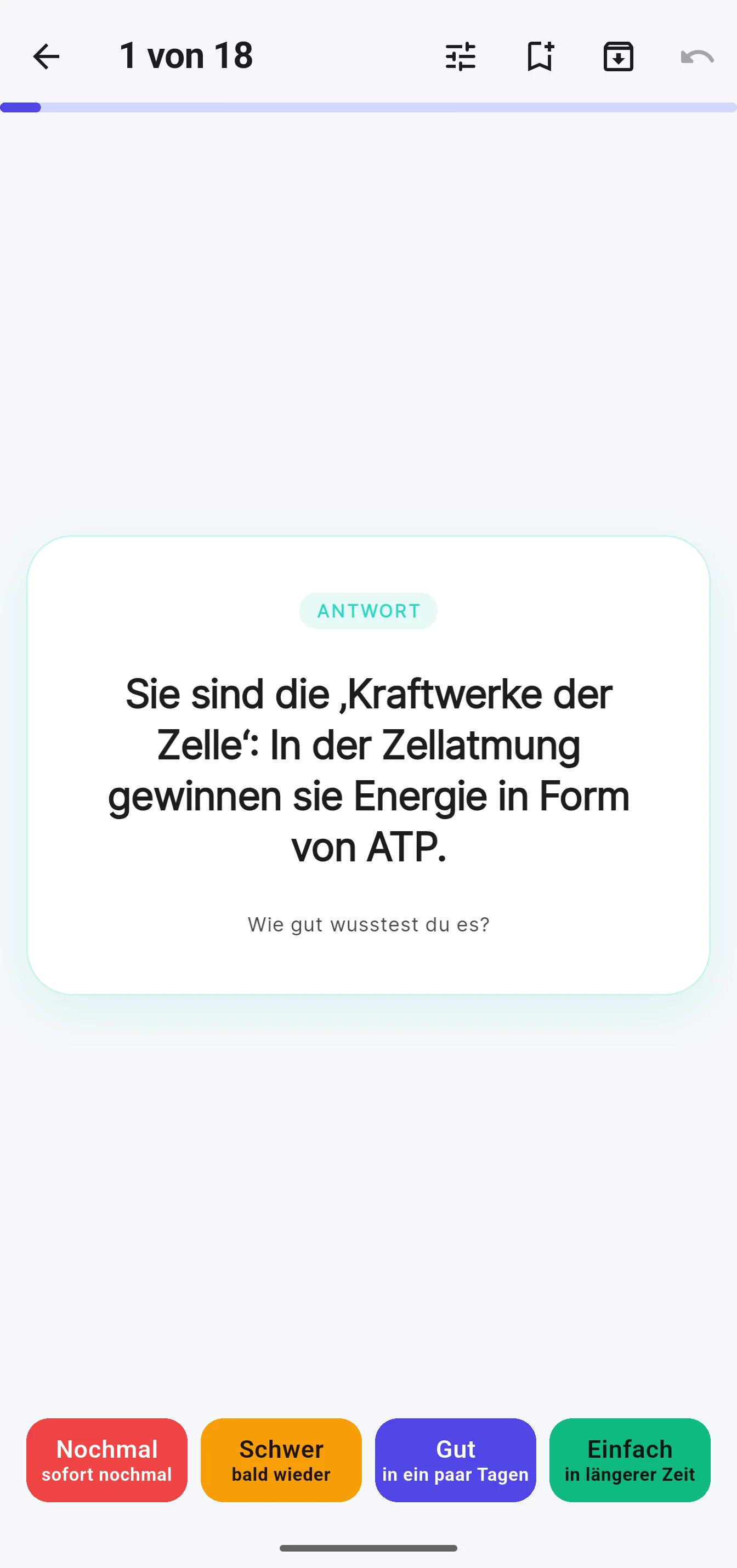 Eine Lernkarte in der Wiederholung: Die Antwort ist aufgedeckt, darunter die vier Bewertungen.